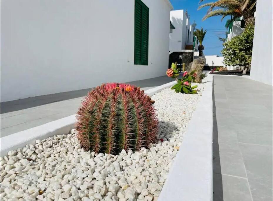 Refugio Del Caracol Apartment Puerto del Carmen  Exterior photo